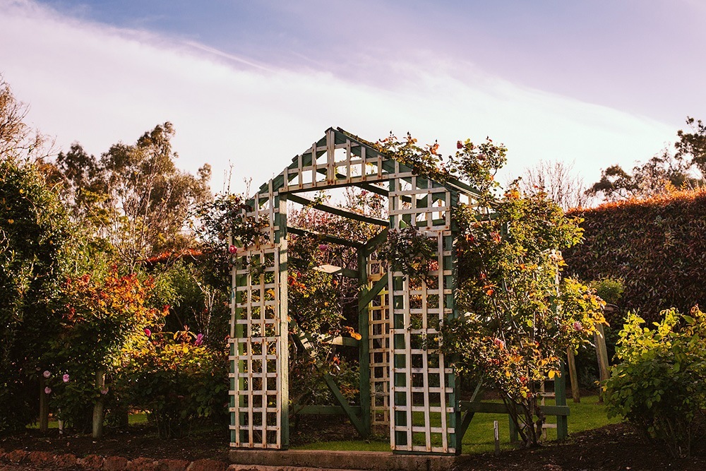 Rivendell Wineries Arch