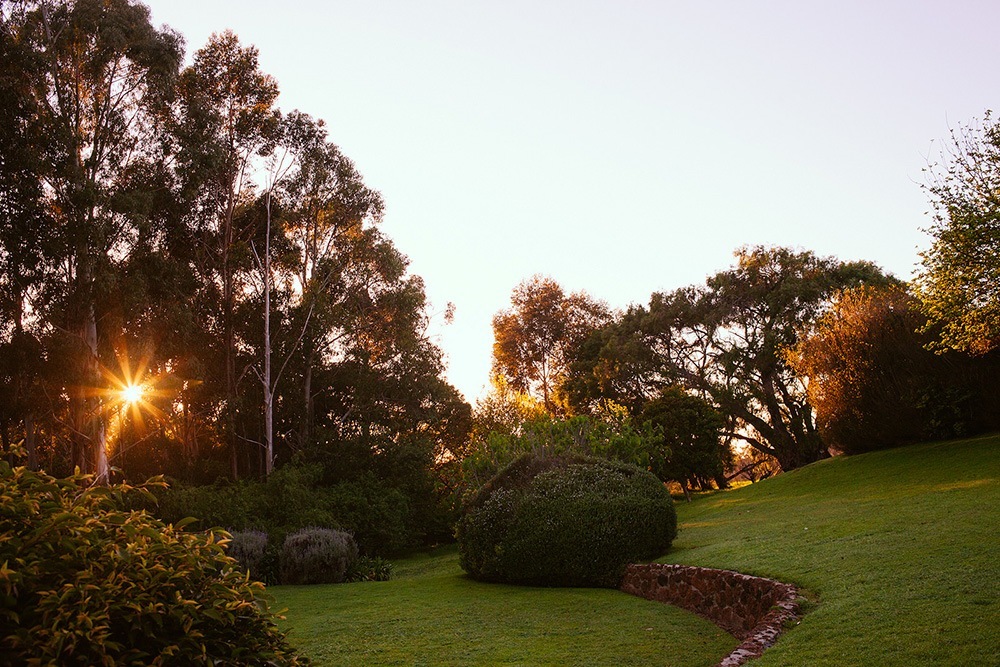 Rivendell Winery Gardens