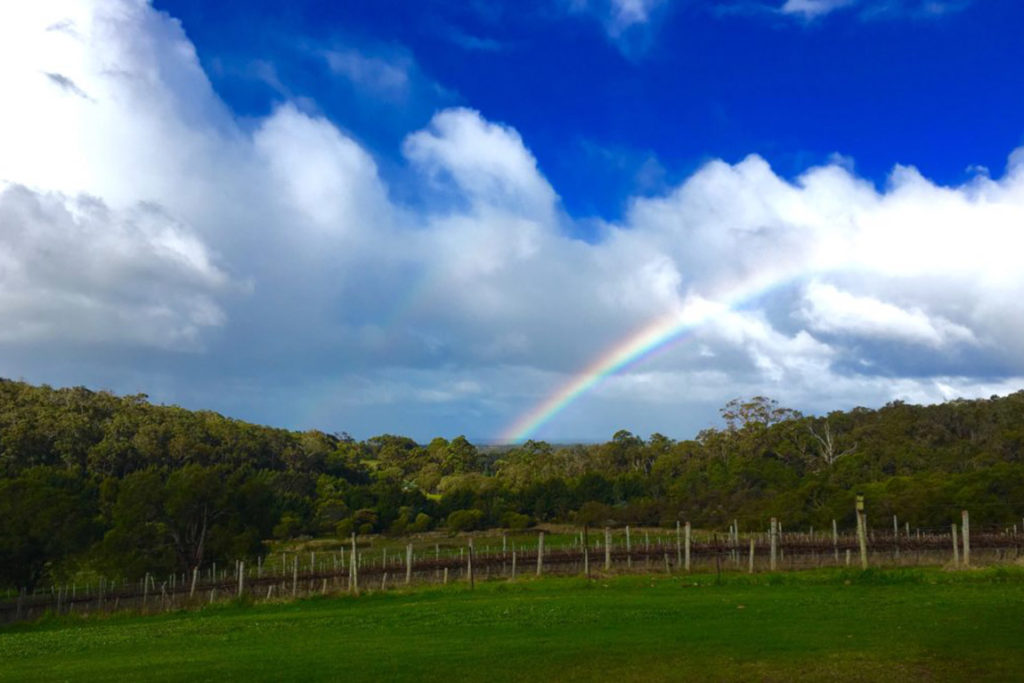 Somewhere over the rainbow......