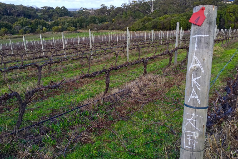 Pruning - Each person pruning writes their name on the post for quality checks