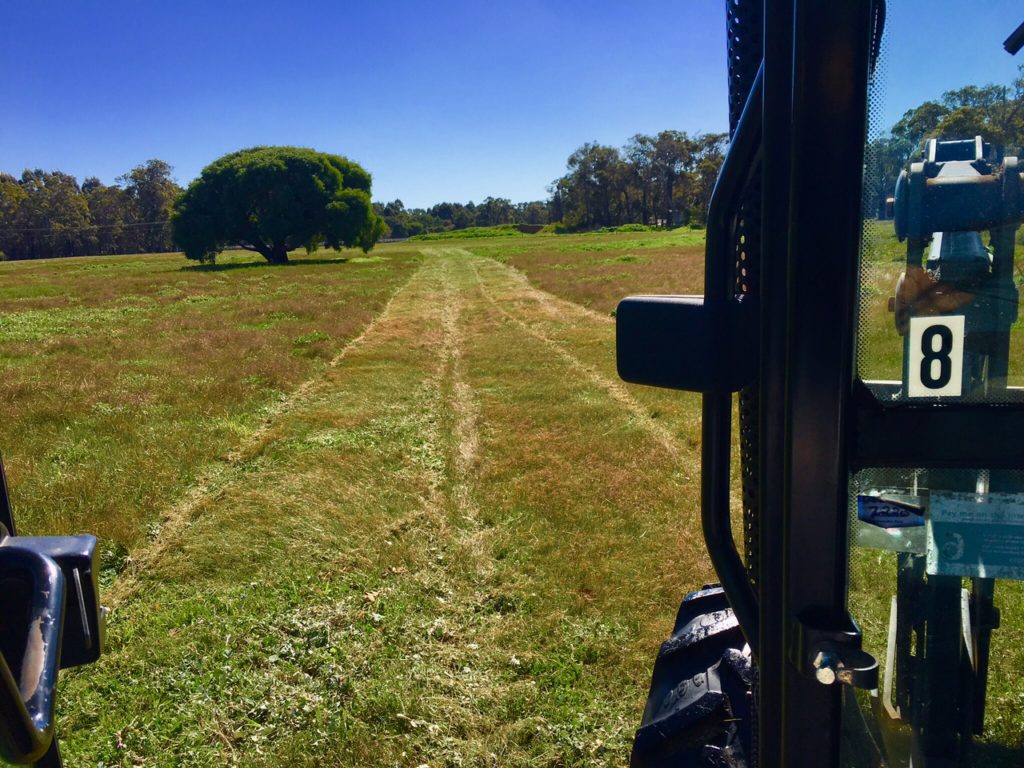 Slashing our back field